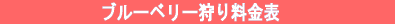 �����\ 