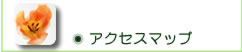 ANZX}bv