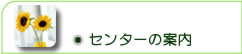 Z^[̈ē