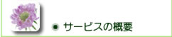 T[rX̊Tv